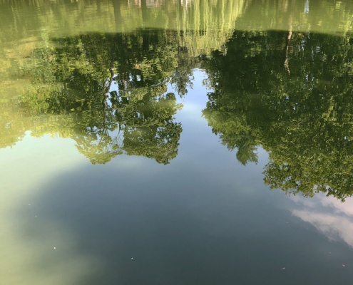 Elke Grober Coaching und Training – Natur